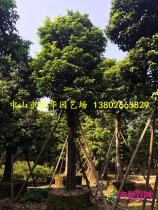 所有产品