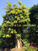 所有产品